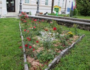 fiori giardino