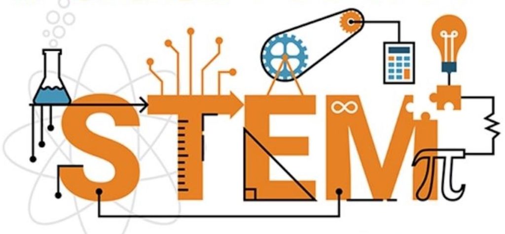 stem