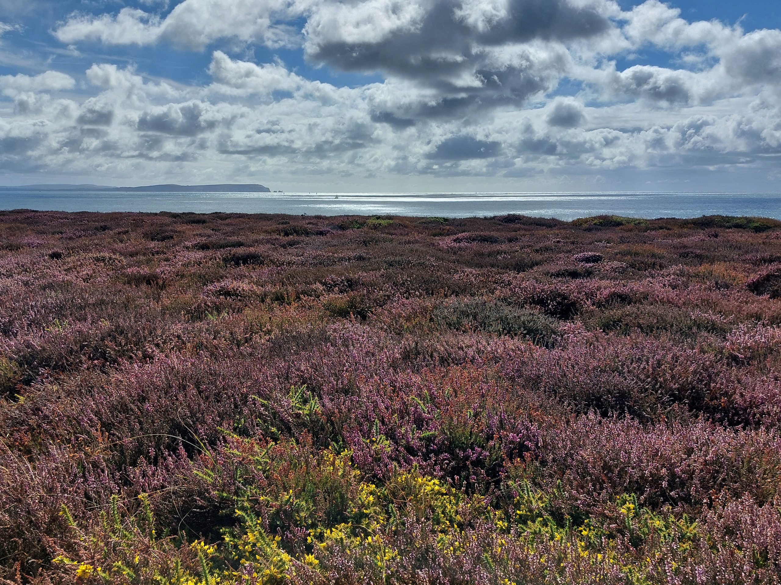 bmouth_02_2025
