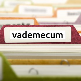 vademecum servizi digitali